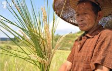 印江新寨乡旱情加重 消防武警送水解困