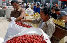 德江复兴辣椒红红火火