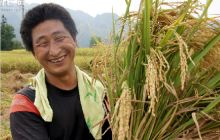 德江水利灌区大旱之年获丰收