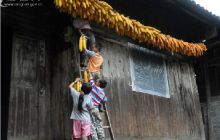 农家小院添喜色