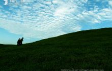 松桃盘石“黔东草海”醉游客