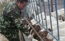 三名转业军人回乡奔致富