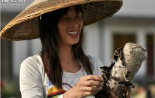 印江发展食用菌带动农民增收