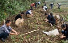 松桃寨英中学党支部到牛塘坡组开展帮扶活动