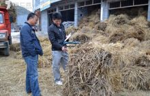 松桃盘石镇秋后变“废草”为“财宝”