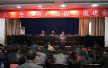 德江县生态茶产业发展推进会召开