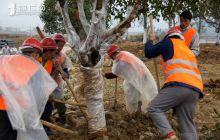 德江打造城南玉溪河景观带
