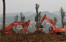 德江狠抓绿化工程 扮靓城南新区