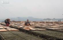 松桃木材加工产业惠及一方群众