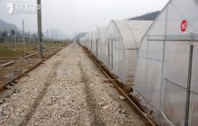 德江建成高家湾现代农业科技示范基地