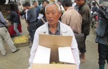 思南县免费发放1000羽鹅苗到农家