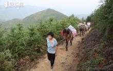 马背驮出的养殖场