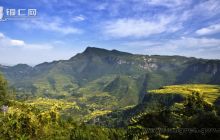 响水金秋迷人眼